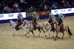 Quadrille - 00150